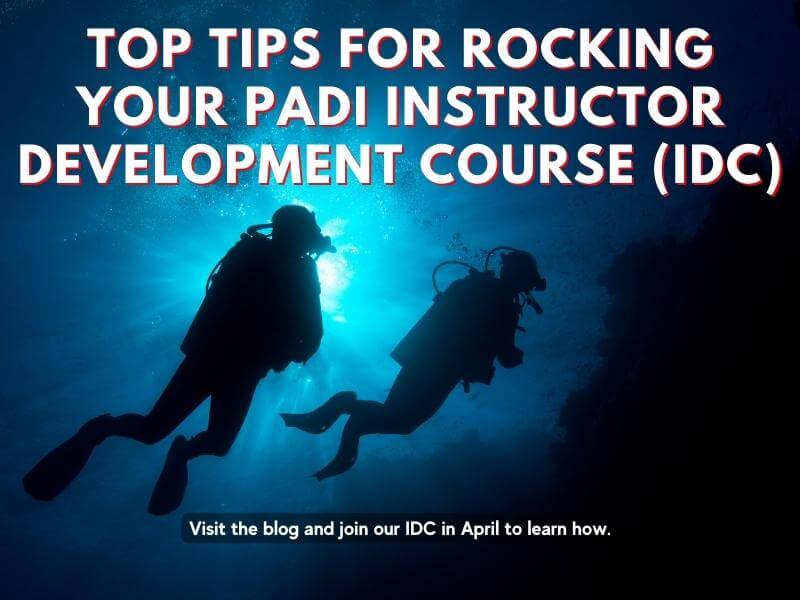 Top Tips For Rocking Your PADI Instructor Development Course (IDC)